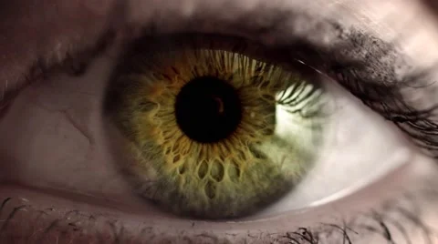 Green eye opens - pupil dilates in 4k Stock Footage 46012428