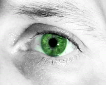 Green Eye (PAL) Stock-Footage 307713