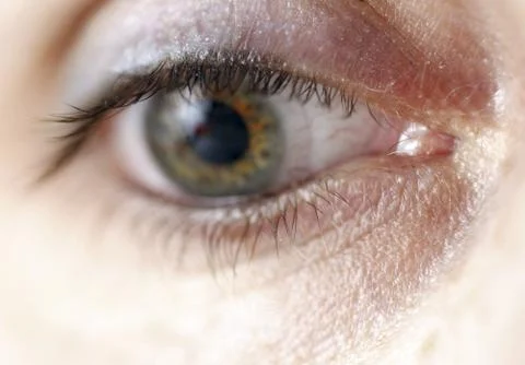 Green eye Stock Photos