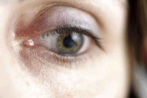 Green eye Stock Photos