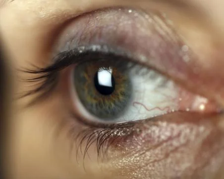 Green eye Stock Photos