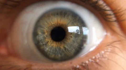 Green Eye Wide Open Close Up Stock Footage 120634597