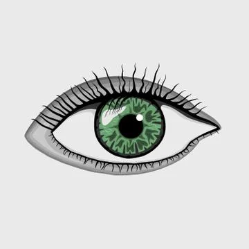 Green eyes Stock Illustration
