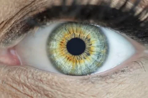 Green eyes macro Foto stock