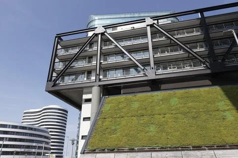 Green facade on the PEC office building, cloud bow, planting to improve the Foto stock