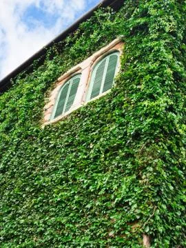 Green facade Stock Photos