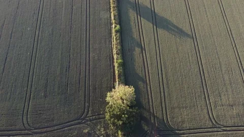 Green Farm Drone Stock Footage 198537344