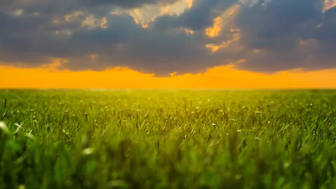 Green farm field at the dramatic sunset Stock Footage 247169953