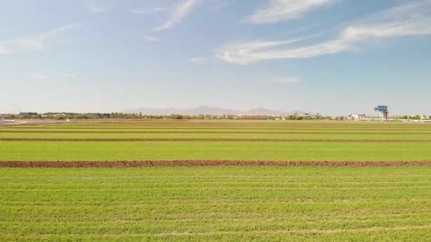 Green Farm Field Stock Footage 131063822