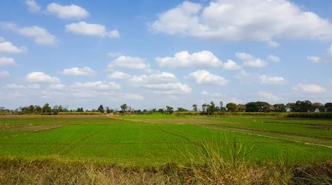 Green Farm Stock Photos