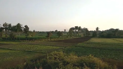 Green farming fields by train track Stock Footage 154307359