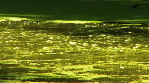 Green Fast Stream of Water HD Stock Footage 40714178