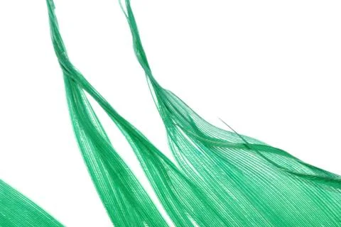 Green feather abstract texture background Stock Photos