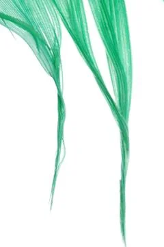 Green feather abstract texture background Foto stock