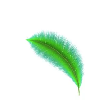Green Feather. Isolated on white background. 3D rendering illustration. 库存插图