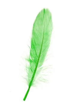 Green Feather Stock Photos