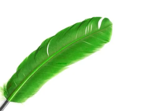 Green feather in soft-focus view. Close-Up. With Stock Photos