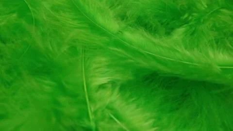 Green feathers close up. Slow motion soft movement. 스톡 동영상 233769144
