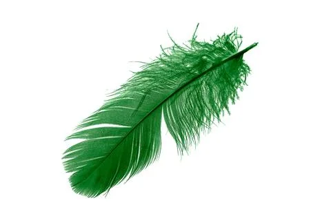 Green feathers on white isolated background 스톡 사진