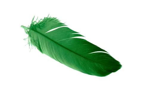 Green feathers on white isolated background 스톡 사진