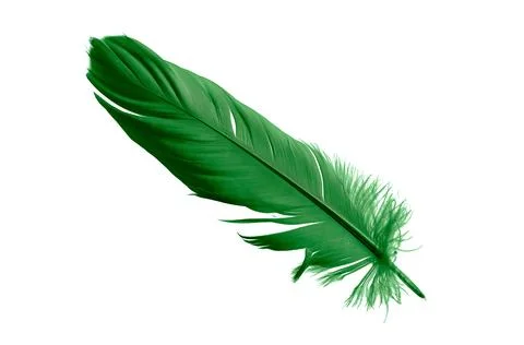 Green feathers on white isolated background 스톡 사진