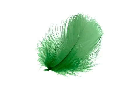 Green feathers on white isolated background 스톡 사진