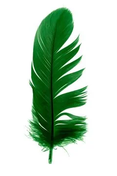 Green feathers on white isolated background 스톡 사진