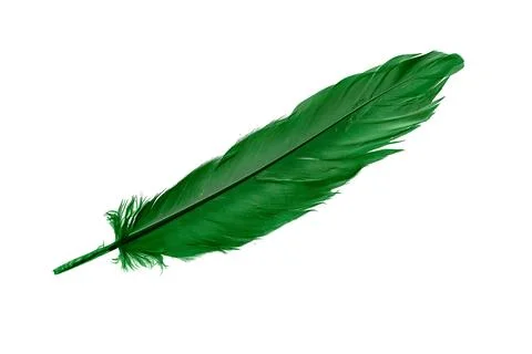 Green feathers on white isolated background 스톡 사진