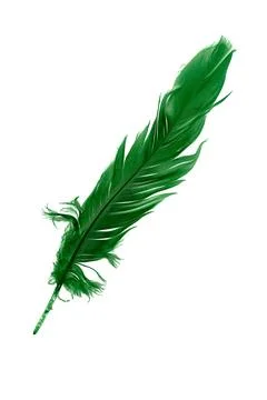 Green feathers on white isolated background 스톡 사진