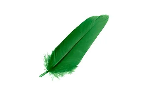 Green feathers on white isolated background 스톡 사진