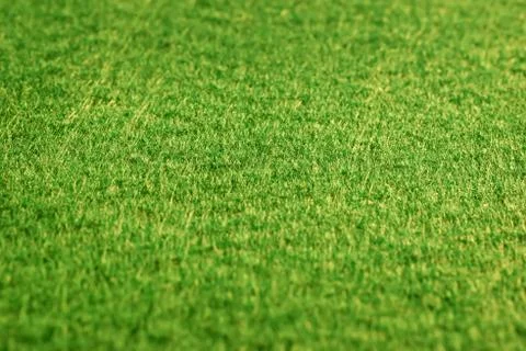Green felt blurred background with selective focus Foto stock