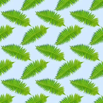 Green fern leaf seamless pattern Stock Photos