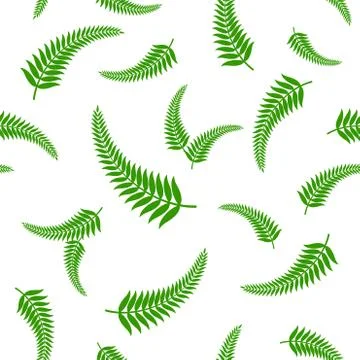 Green fern leaves seamless pattern. Stock Illustration