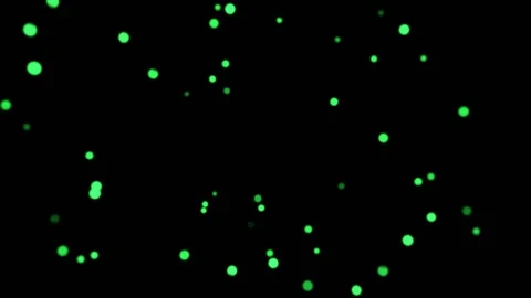 Green Festive Blinking Bokeh Lights Background VJ Loop in 4K Stock Footage 341676199