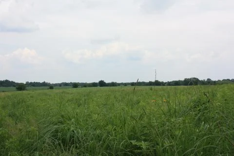 Green Field 2 Stock Photos