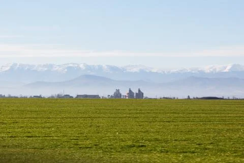 Green field 2 Foto stock