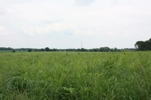 Green Field 3 Stock Photos