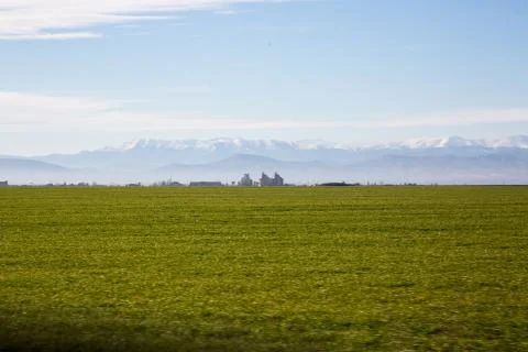 Green field 3 Foto stock