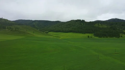 Green field against the backdrop of mountains Stock Footage 247392370