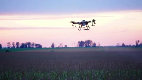 Green Field Agro Drone Stock Footage 161013320