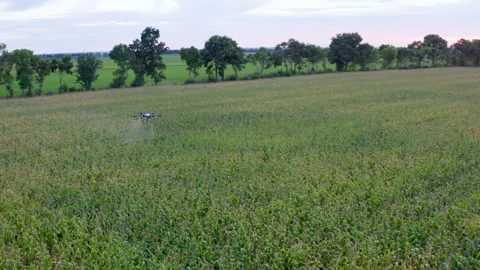 Green Field Agro Drone Stock Footage 161013848