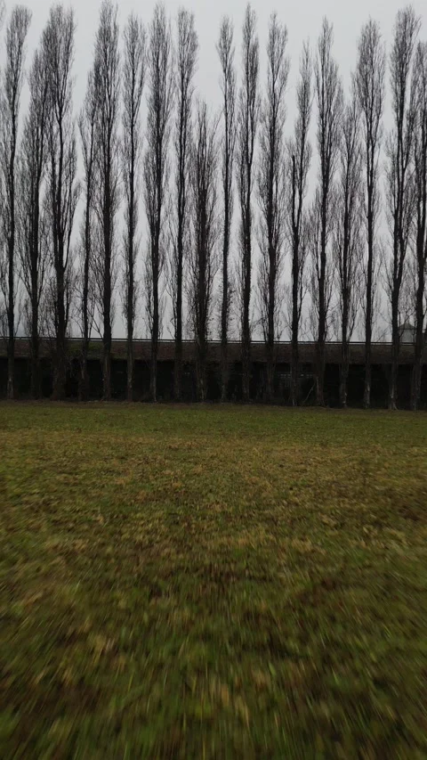 Green field and bare trees in a line in autumn or winter cloudy day 스톡 동영상 297607247