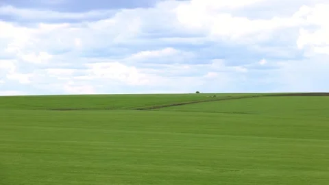 Green field and blue cloudy sky Stock Footage 308357406