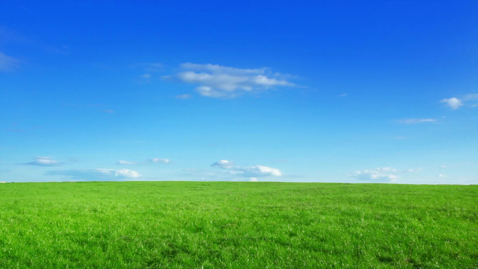 Green field and blue sky, Stock Video