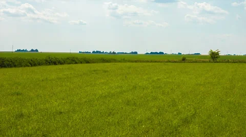 Green field and blue sky Stock Footage