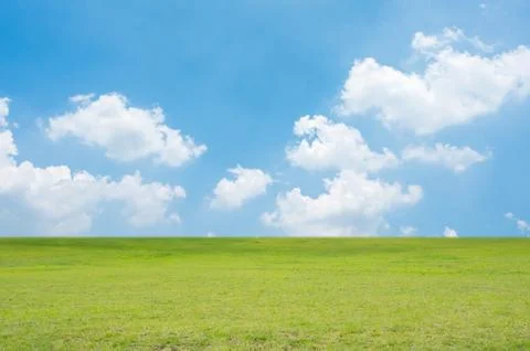 Green field and blue sky. Nature background. Stock Photos