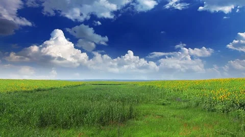 Green field and cloudy sky Stock Footage 8825025