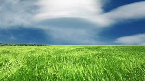 Green field and cloudy sky Stock Footage 8825153