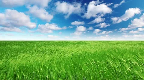 Green field and cloudy sky Stock Footage 10600113