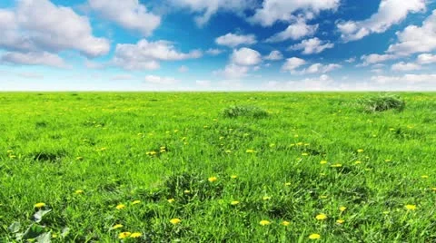 Green field and cloudy sky Stock Footage 10912124